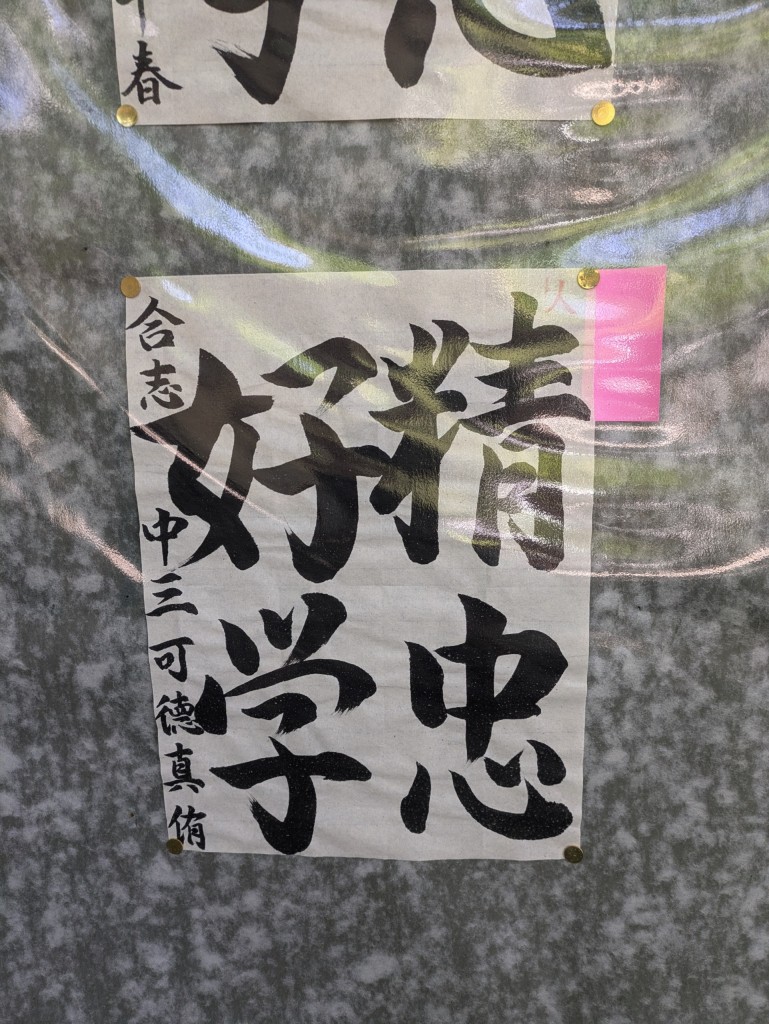 PXL_20250427_014340598