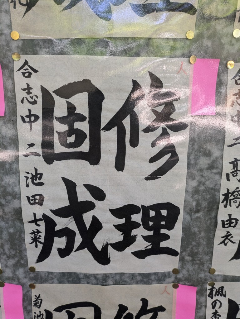 PXL_20250427_014352300