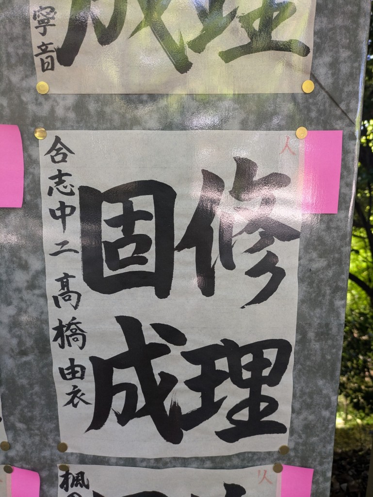 PXL_20250427_014354892