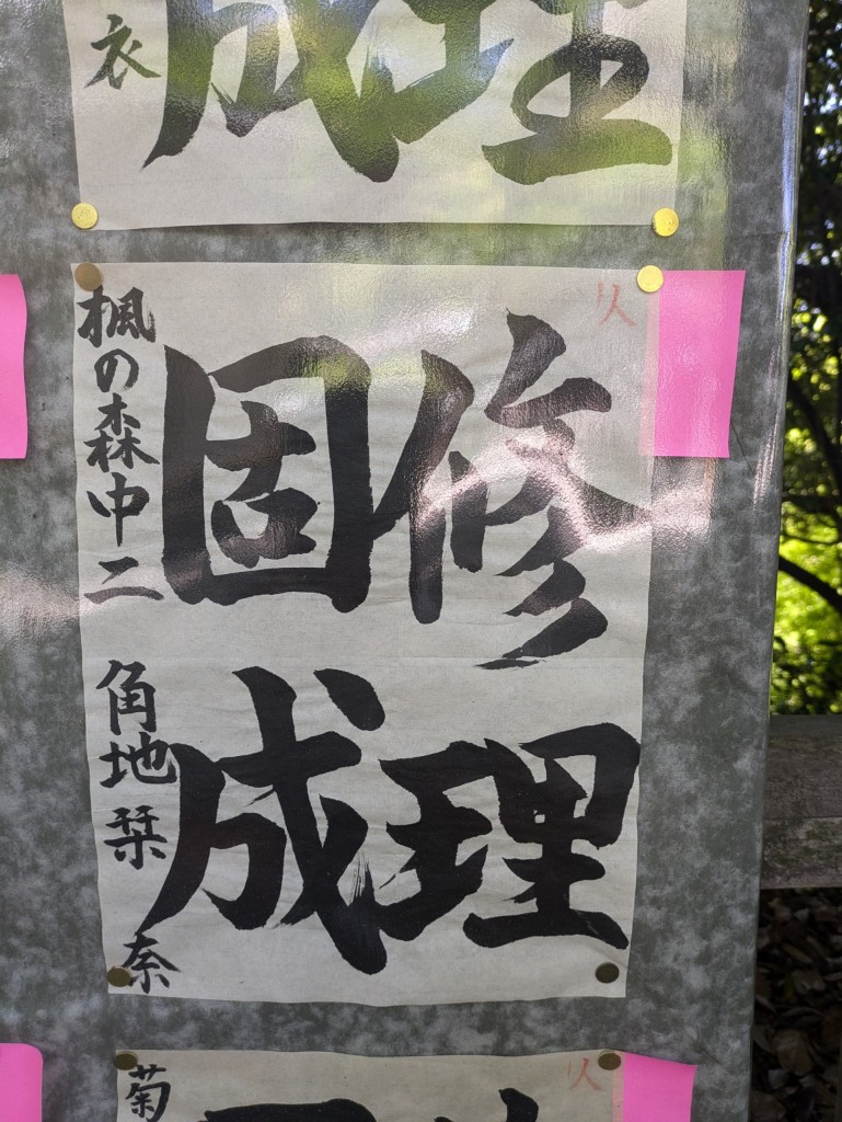 PXL_20250427_014411374