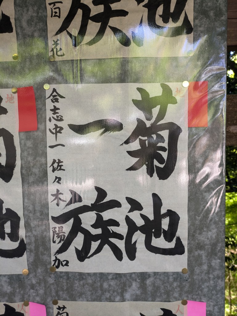 PXL_20250427_014434449
