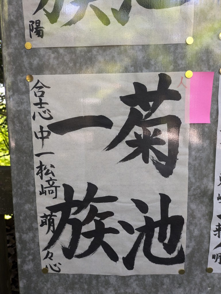 PXL_20250427_014443370