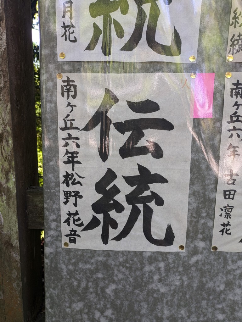 PXL_20250427_014522345