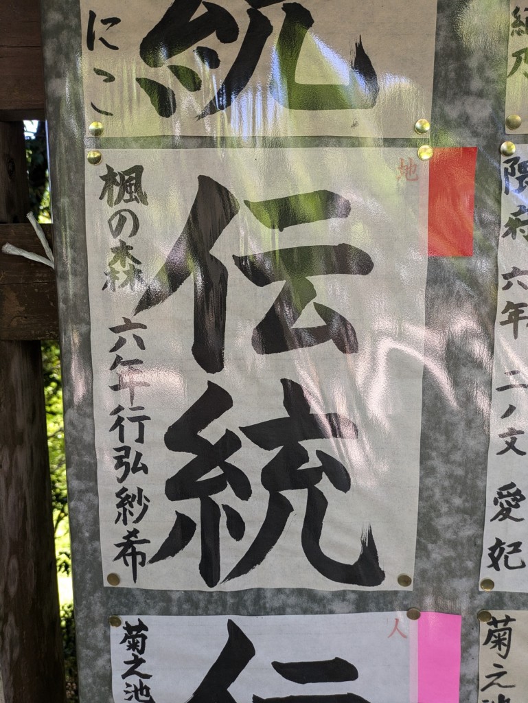PXL_20250427_014531643