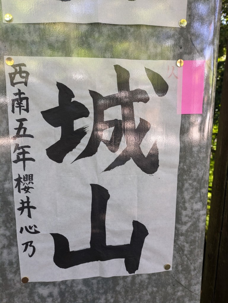 PXL_20250427_014559724