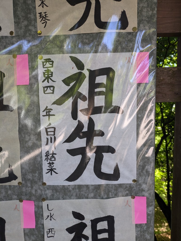 PXL_20250427_014637325
