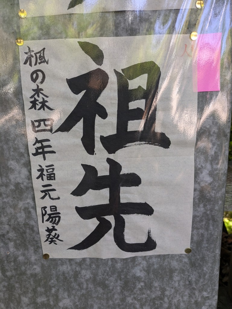 PXL_20250427_014640369
