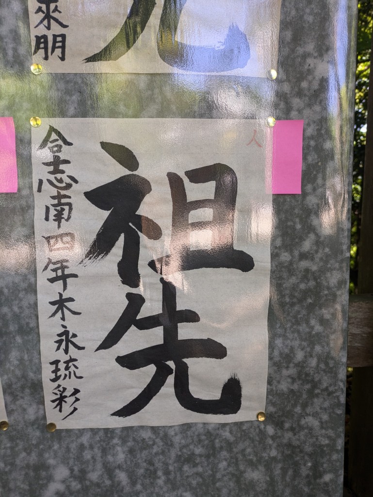 PXL_20250427_014705056