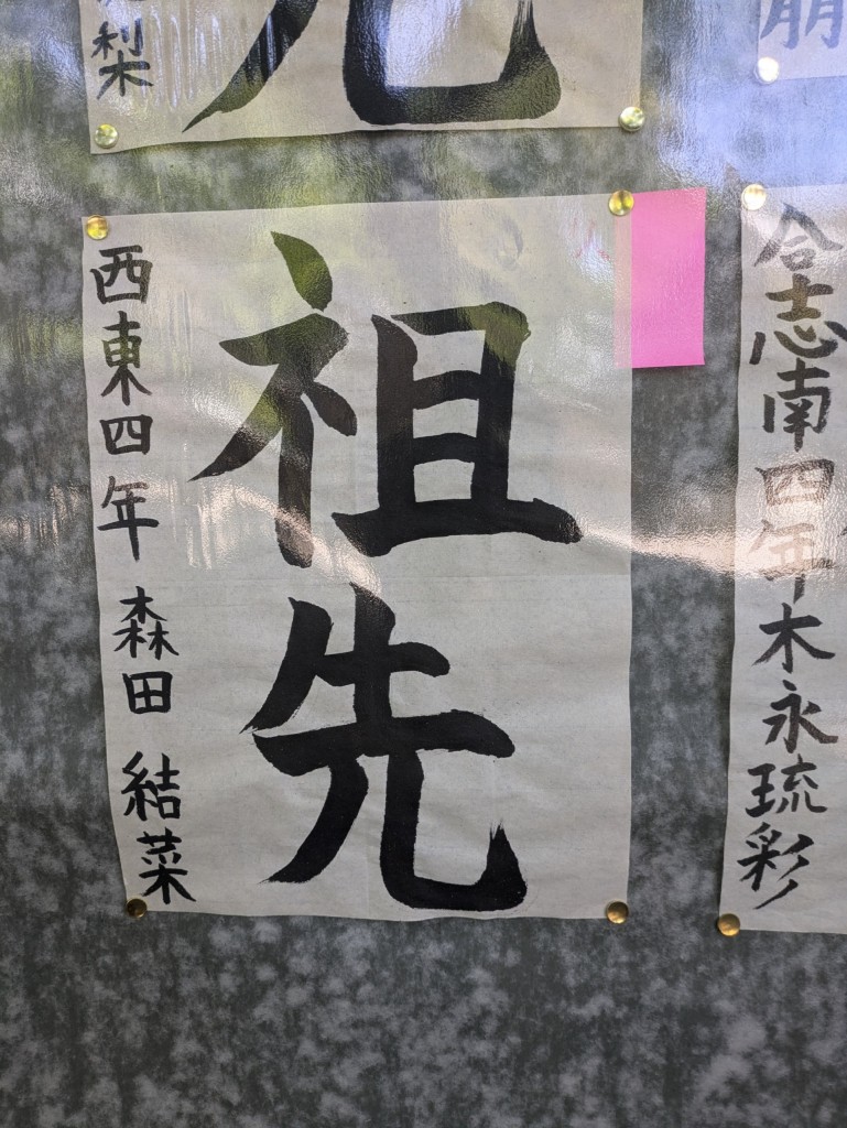 PXL_20250427_014708347