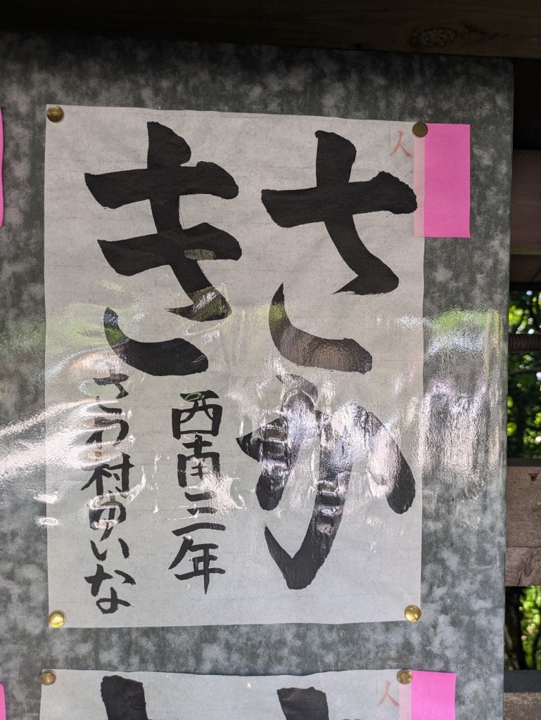 PXL_20250427_014738802