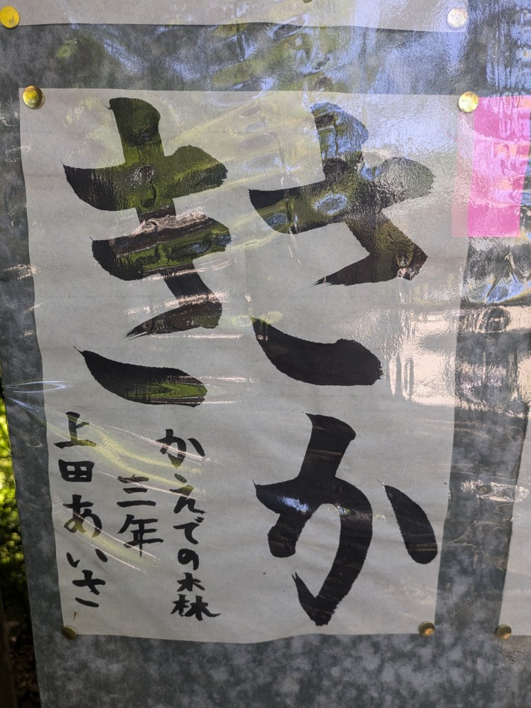 PXL_20250427_014752048