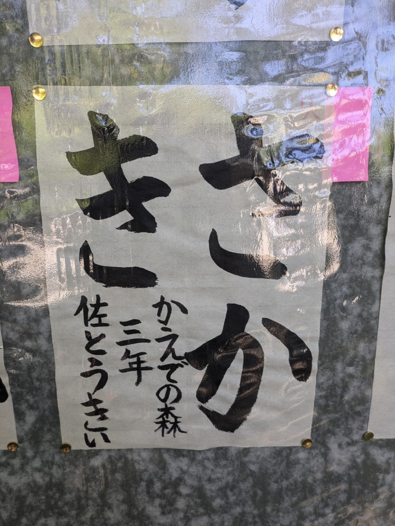 PXL_20250427_014754110