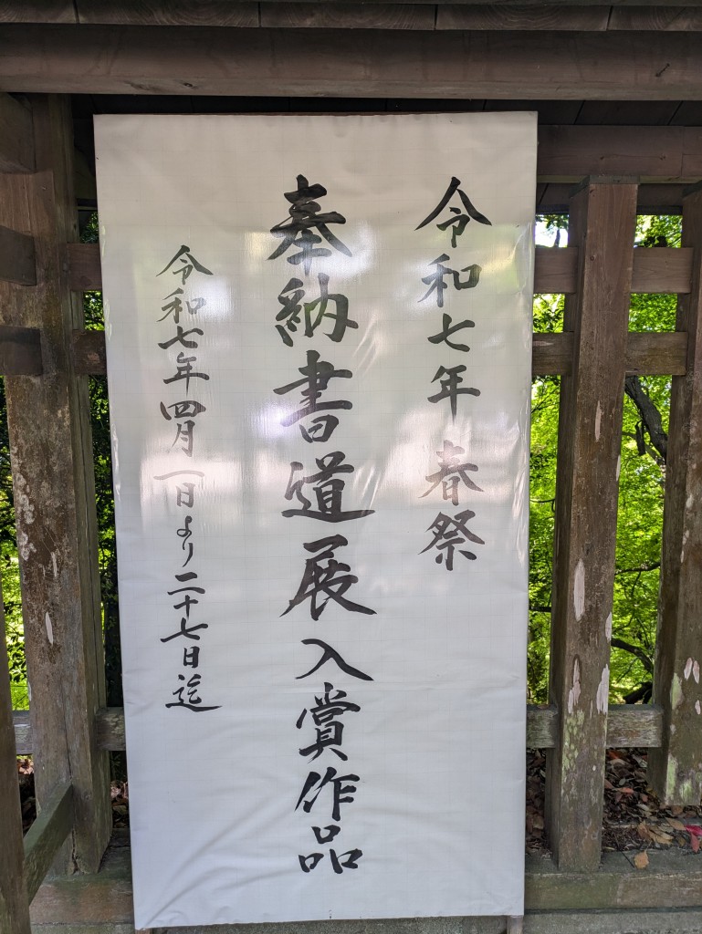 PXL_20250427_014833503